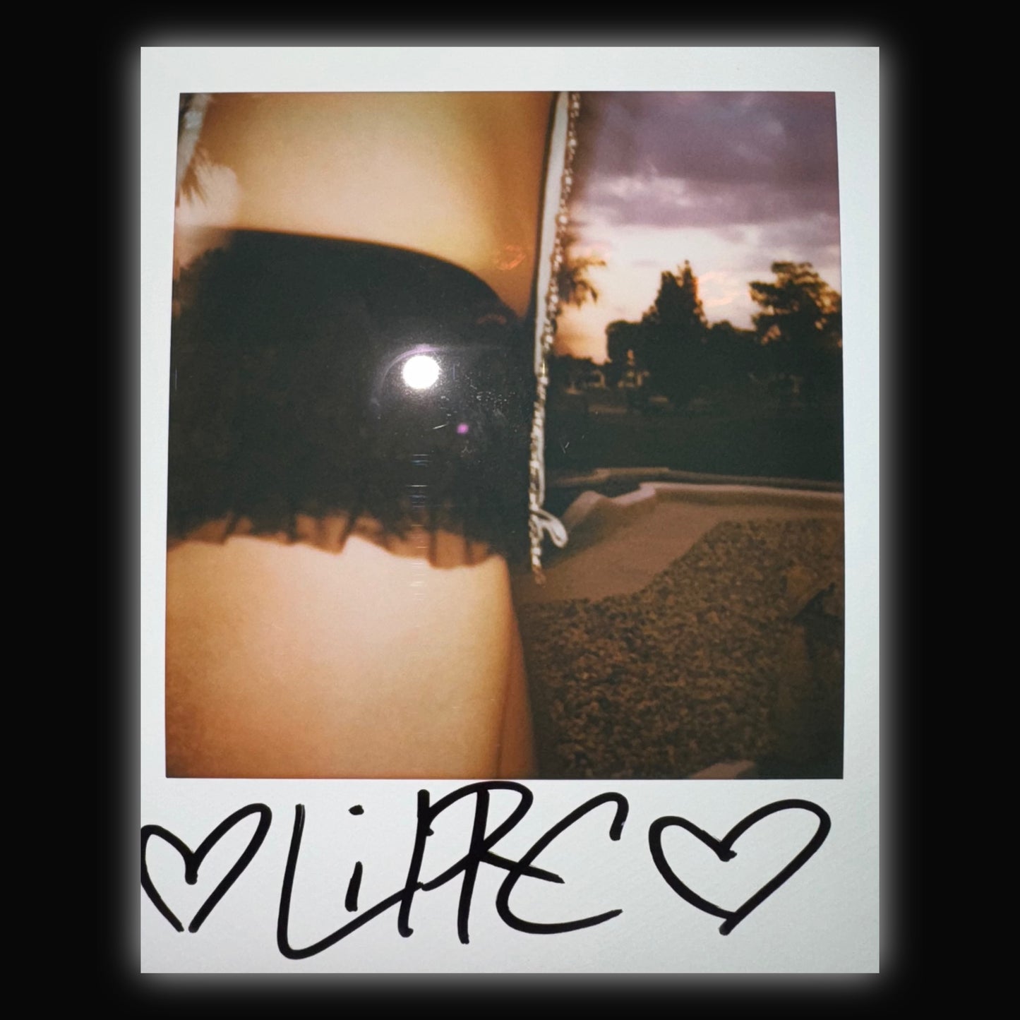SIGNED Polaroid - Large